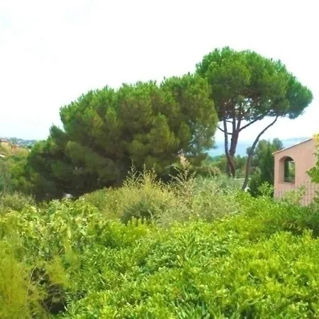 Le Grand Souleyas *